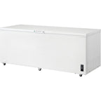 Congélateur coffre Frigidaire (FFCL2542AW) - Blanc